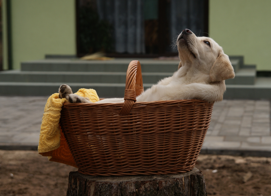 Diaphragmatic Breathing reduce stress and function better Pelvic