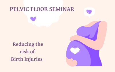Pregnancy and the Pelvic Floor Seminar