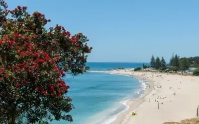 Pelvic Health Over the Holiday Season