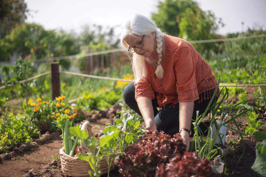 Woman in her sixties gardening on a sunny day, living comfortably with a pessary