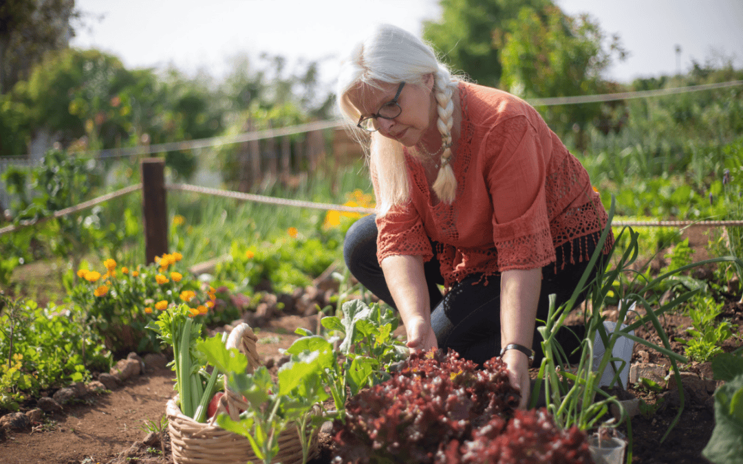 Woman in her sixties gardening on a sunny day, living comfortably with a pessary